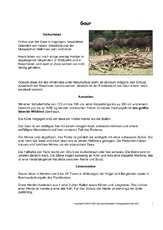 Gaur-Steckbrief-Seite-1-2.pdf